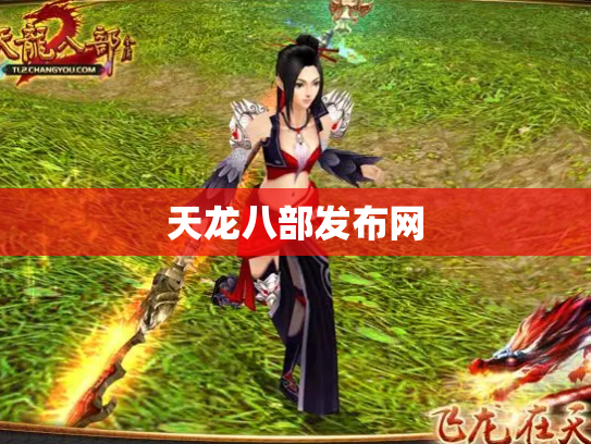 天龙八部发布网