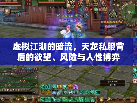 虚拟江湖的暗流，天龙私服背后的欲望、风险与人性博弈