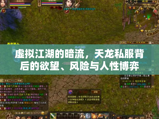虚拟江湖的暗流，天龙私服背后的欲望、风险与人性博弈