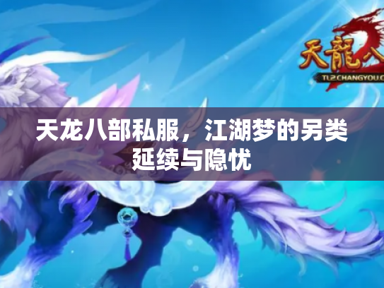 天龙八部私服，江湖梦的另类延续与隐忧