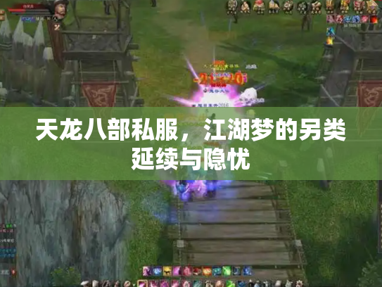 天龙八部私服，江湖梦的另类延续与隐忧