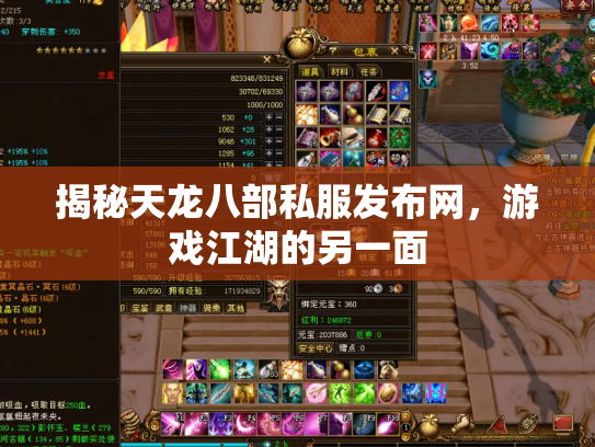 揭秘天龙八部私服发布网，游戏江湖的另一面