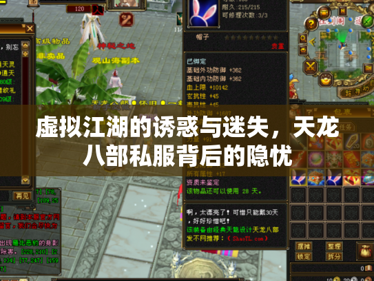 虚拟江湖的诱惑与迷失，天龙八部私服背后的隐忧