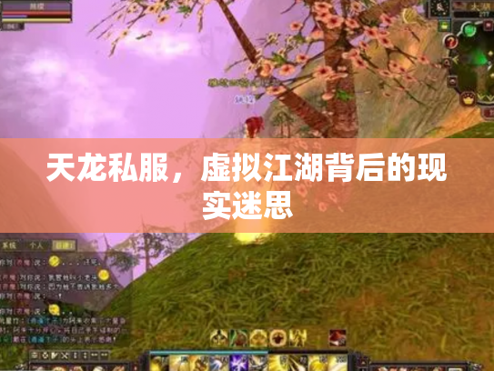 天龙私服，虚拟江湖背后的现实迷思
