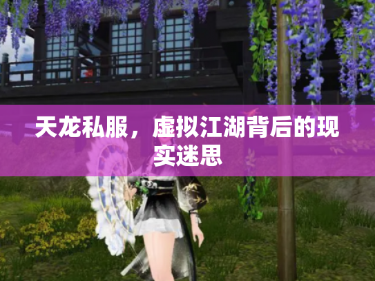 天龙私服，虚拟江湖背后的现实迷思