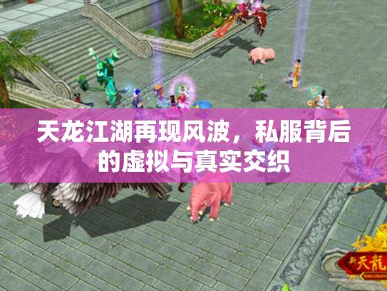 天龙江湖再现风波，私服背后的虚拟与真实交织