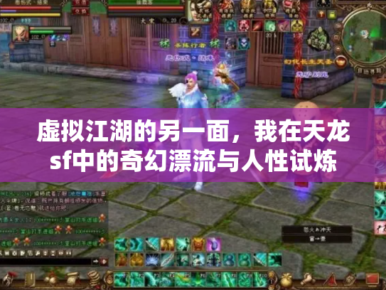 虚拟江湖的另一面，我在天龙sf中的奇幻漂流与人性试炼