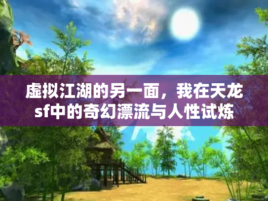 虚拟江湖的另一面，我在天龙sf中的奇幻漂流与人性试炼