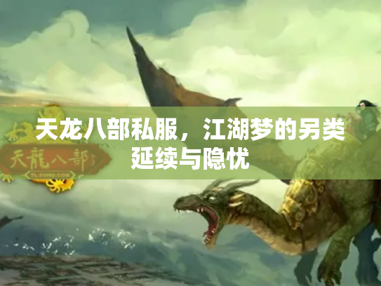 天龙八部私服，江湖梦的另类延续与隐忧