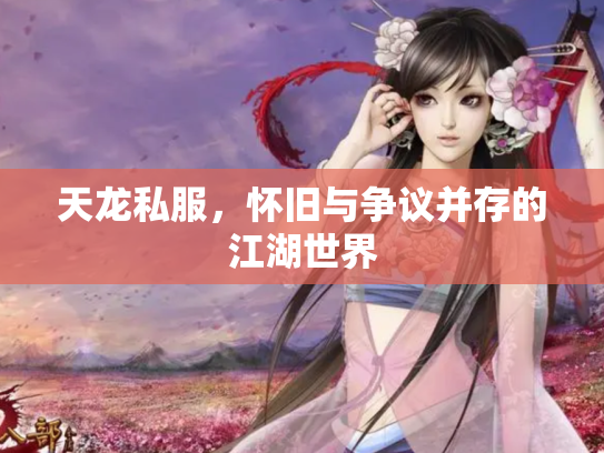天龙私服，怀旧与争议并存的江湖世界