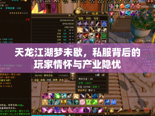 天龙江湖梦未歇，私服背后的玩家情怀与产业隐忧