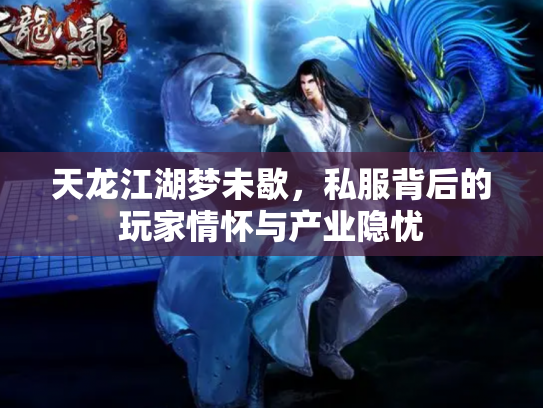 天龙江湖梦未歇，私服背后的玩家情怀与产业隐忧