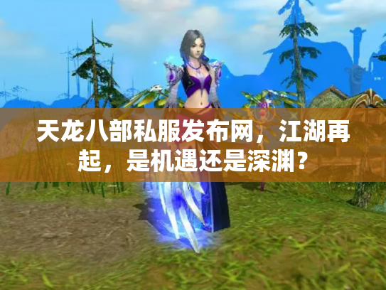 天龙八部私服发布网，江湖再起，是机遇还是深渊？