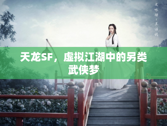 天龙SF，虚拟江湖中的另类武侠梦
