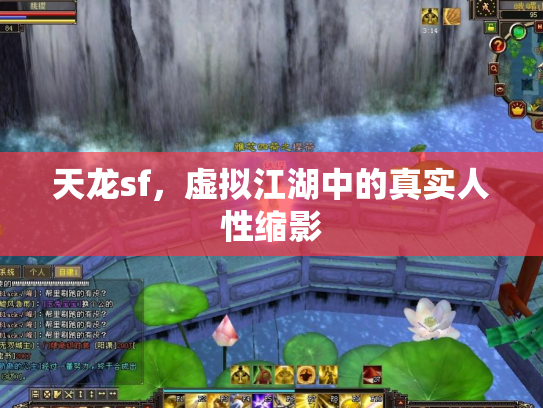 天龙sf，虚拟江湖中的真实人性缩影