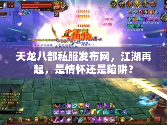 天龙八部私服发布网，江湖再起，是情怀还是陷阱？