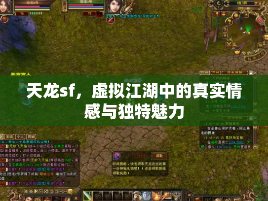 天龙sf，虚拟江湖中的真实情感与独特魅力
