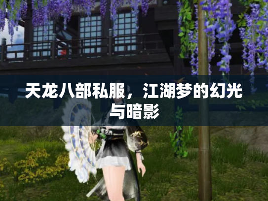 天龙八部私服，江湖梦的幻光与暗影
