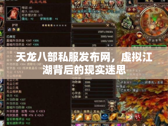 天龙八部私服发布网，虚拟江湖背后的现实迷思
