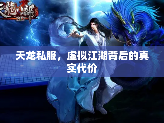 天龙私服，虚拟江湖背后的真实代价