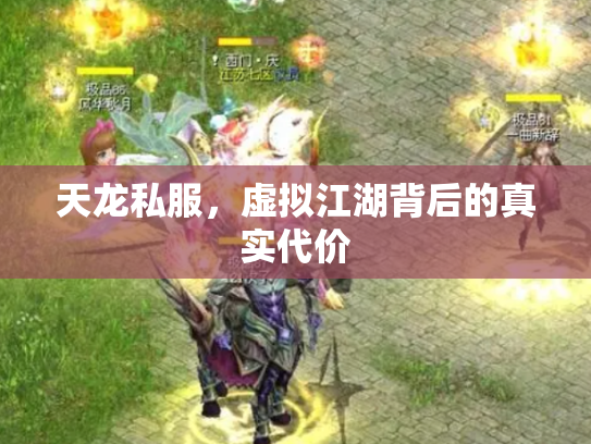天龙私服，虚拟江湖背后的真实代价