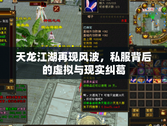 天龙江湖再现风波，私服背后的虚拟与现实纠葛