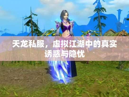 天龙私服，虚拟江湖中的真实诱惑与隐忧