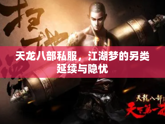 天龙八部私服，江湖梦的另类延续与隐忧