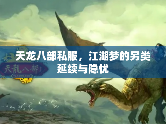 天龙八部私服，江湖梦的另类延续与隐忧