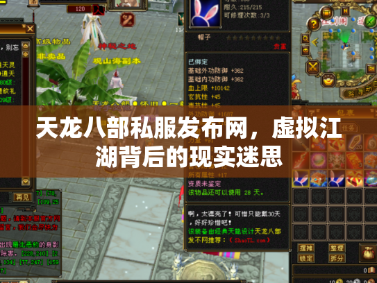 天龙八部私服发布网，虚拟江湖背后的现实迷思