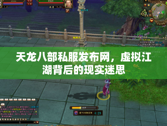 天龙八部私服发布网，虚拟江湖背后的现实迷思