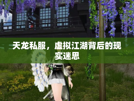 天龙私服，虚拟江湖背后的现实迷思