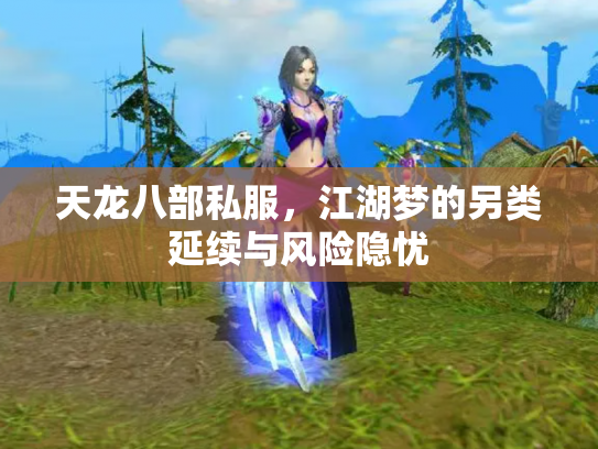 天龙八部私服，江湖梦的另类延续与风险隐忧