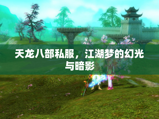 天龙八部私服，江湖梦的幻光与暗影