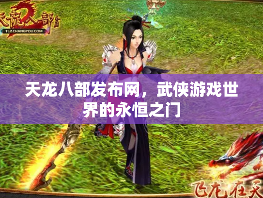 天龙八部发布网，武侠游戏世界的永恒之门