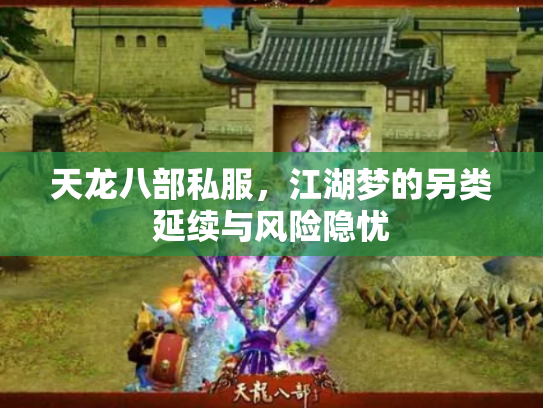 天龙八部私服，江湖梦的另类延续与风险隐忧