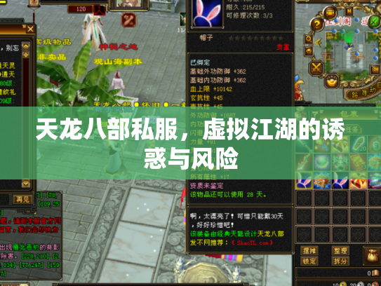 天龙八部私服，虚拟江湖的诱惑与风险