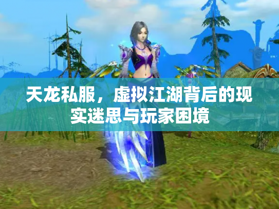 天龙私服，虚拟江湖背后的现实迷思与玩家困境