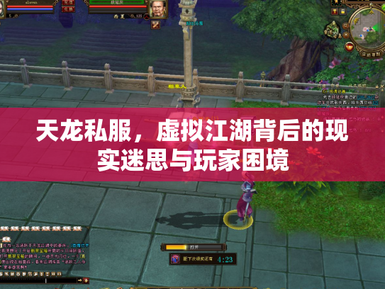 天龙私服，虚拟江湖背后的现实迷思与玩家困境