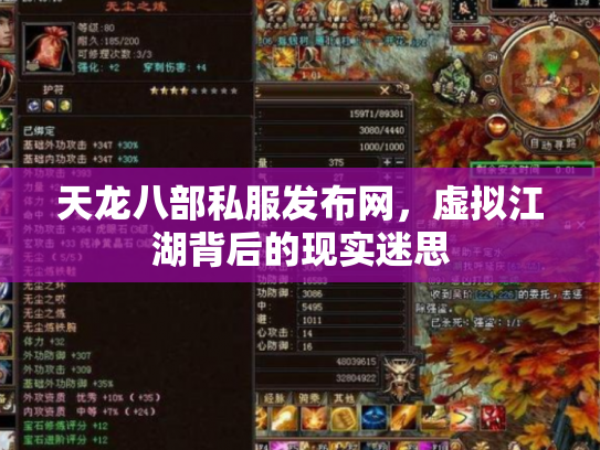 天龙八部私服发布网，虚拟江湖背后的现实迷思
