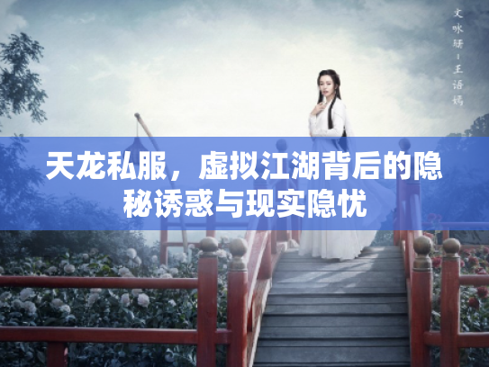 天龙私服，虚拟江湖背后的隐秘诱惑与现实隐忧