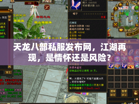 天龙八部私服发布网，江湖再现，是情怀还是风险？