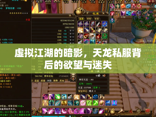 虚拟江湖的暗影，天龙私服背后的欲望与迷失