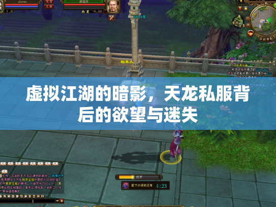 虚拟江湖的暗影，天龙私服背后的欲望与迷失
