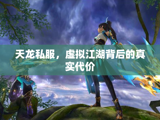 天龙私服，虚拟江湖背后的真实代价