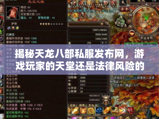 揭秘天龙八部私服发布网，游戏玩家的天堂还是法律风险的陷阱？