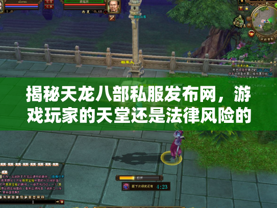 揭秘天龙八部私服发布网，游戏玩家的天堂还是法律风险的陷阱？