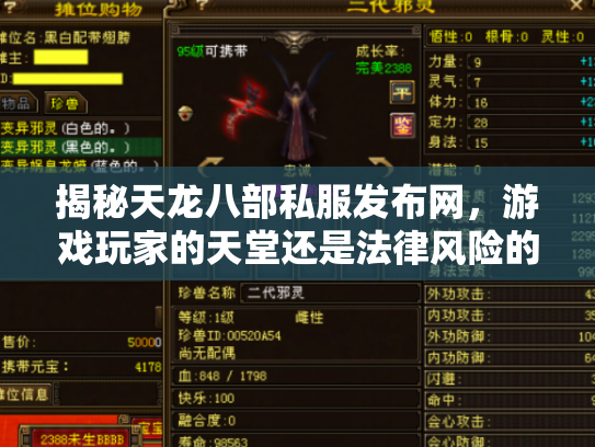 揭秘天龙八部私服发布网，游戏玩家的天堂还是法律风险的陷阱？
