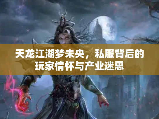 天龙江湖梦未央，私服背后的玩家情怀与产业迷思