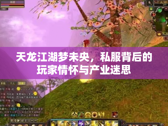 天龙江湖梦未央，私服背后的玩家情怀与产业迷思